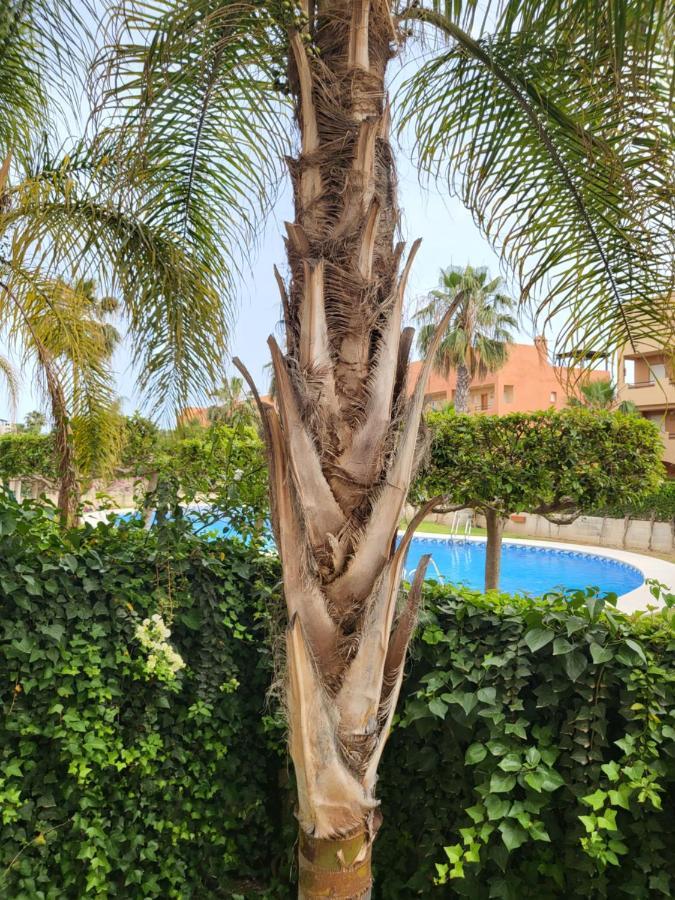 ¡bajo Extraordinario Con Vistas A La Piscina Y Terraza! Apartment